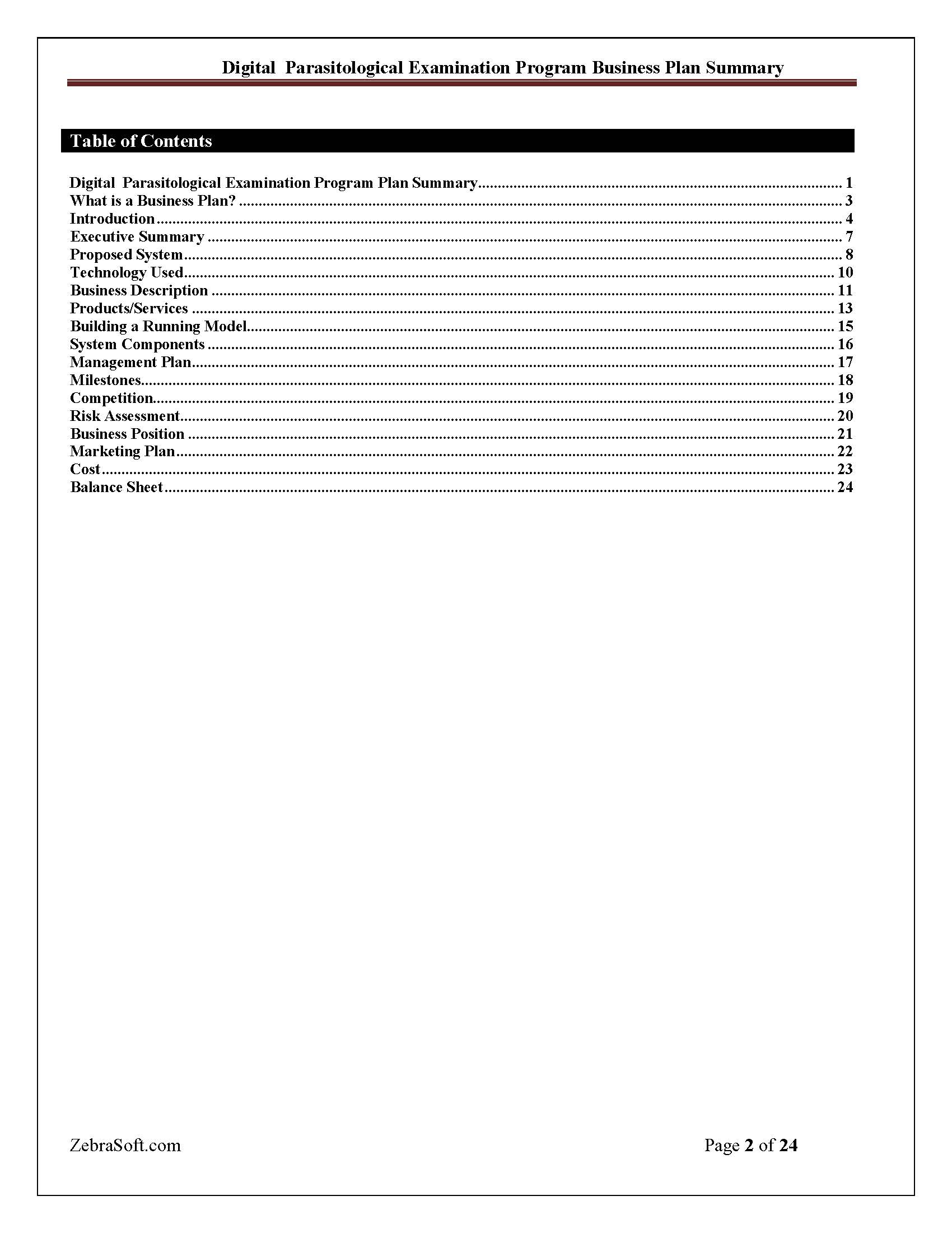 Business Plan 2