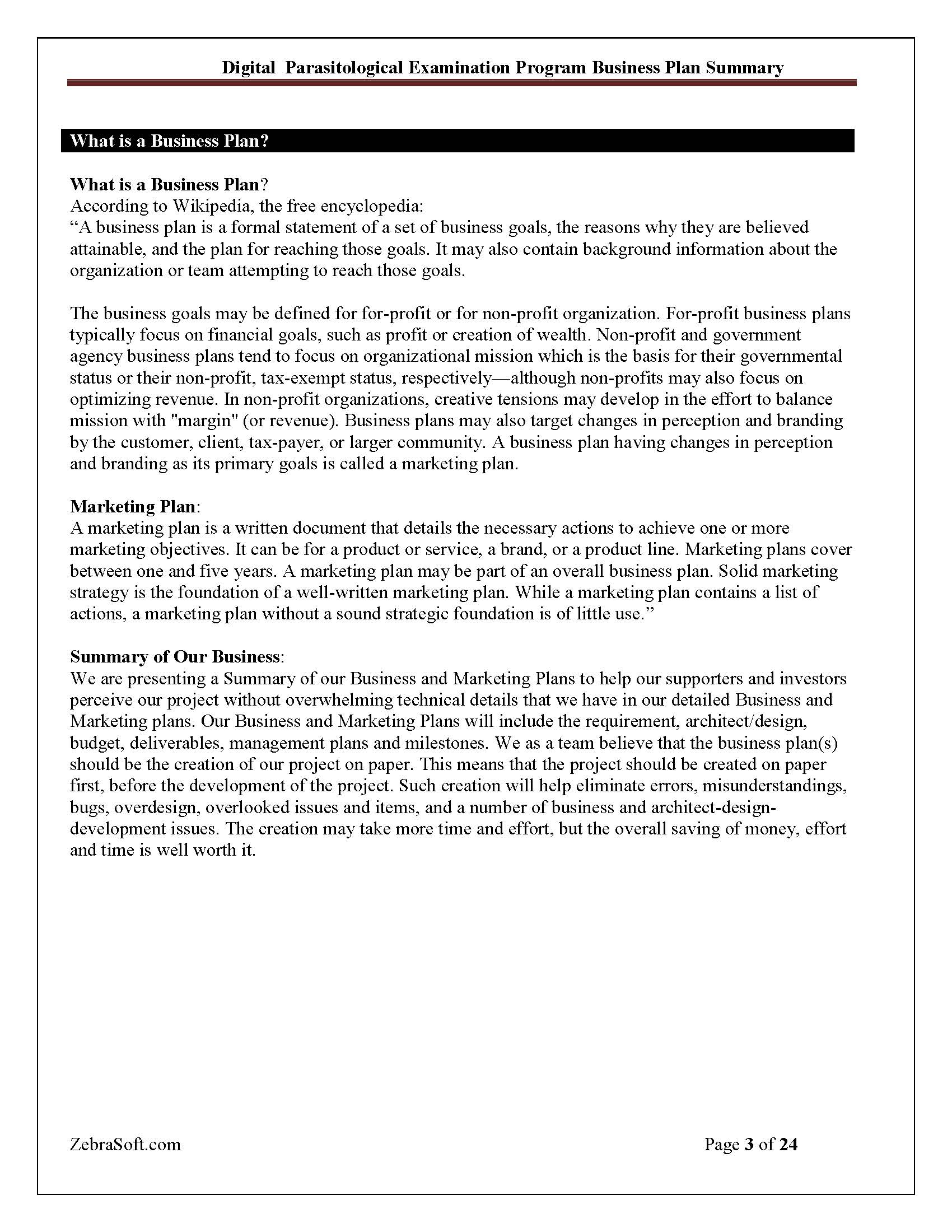 Business Plan 3