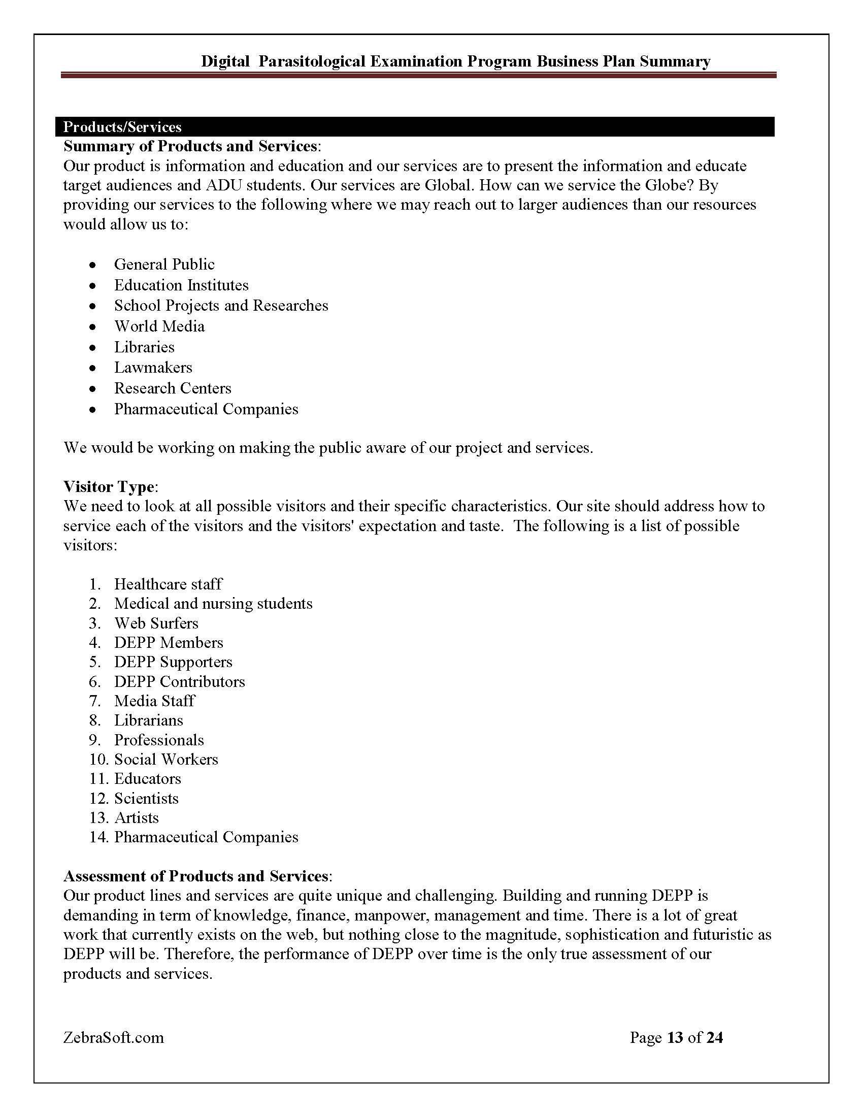 Business Plan 13