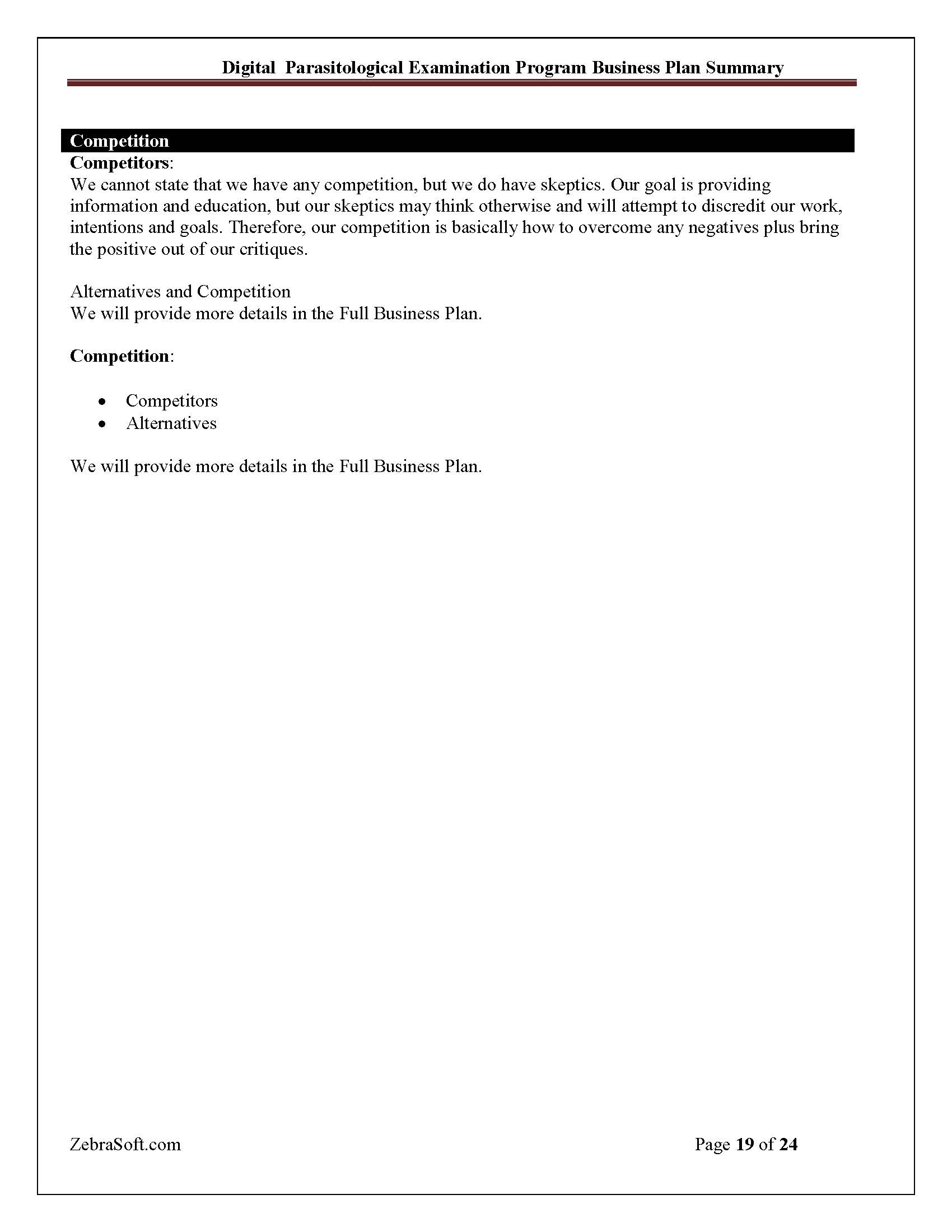 Business Plan 19