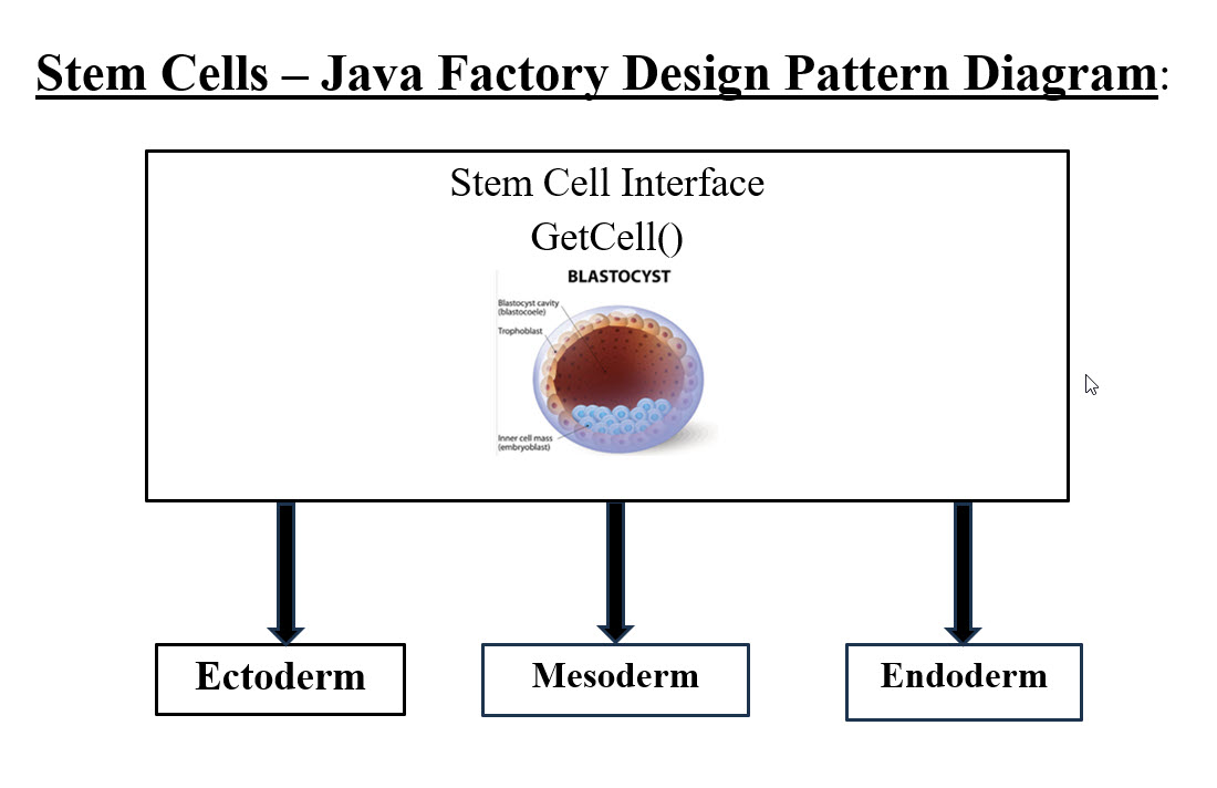 Stem Cells – Java Factory Desing Pattern Diagram